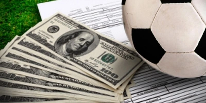 Cách nhà cái đảm bảo lợi nhuận